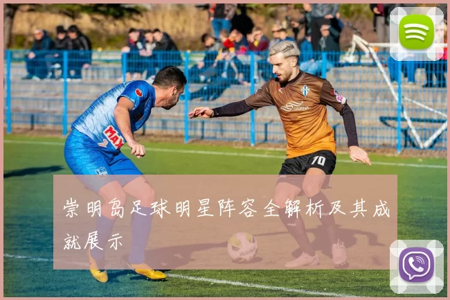 崇明岛足球明星阵容全解析及其成就展示