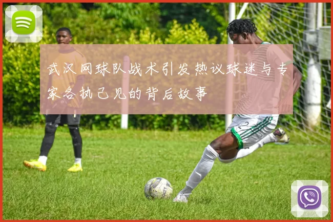 武汉网球队战术引发热议球迷与专家各执己见的背后故事