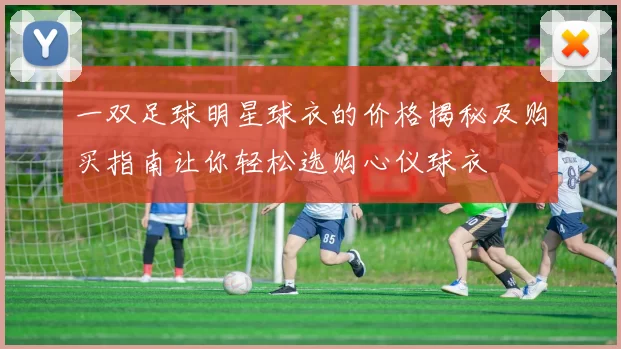 一双足球明星球衣的价格揭秘及购买指南让你轻松选购心仪球衣