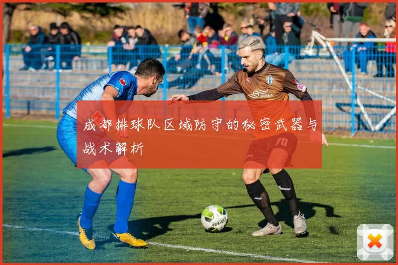 成都排球队区域防守的秘密武器与战术解析