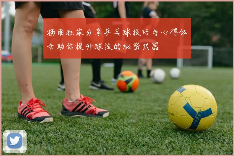 杨丽独家分享乒乓球技巧与心得体会助你提升球技的秘密武器