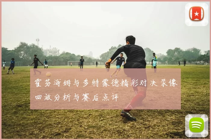霍芬海姆与多特蒙德精彩对决录像回放分析与赛后点评