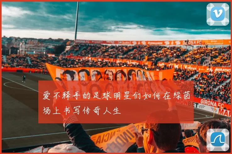 爱不释手的足球明星们如何在绿茵场上书写传奇人生