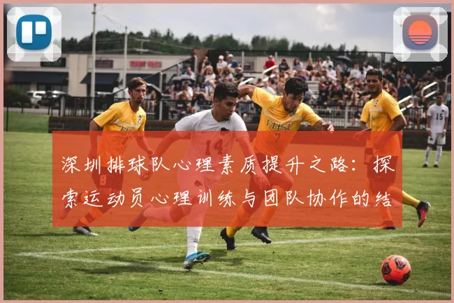 深圳排球队心理素质提升之路：探索运动员心理训练与团队协作的结合