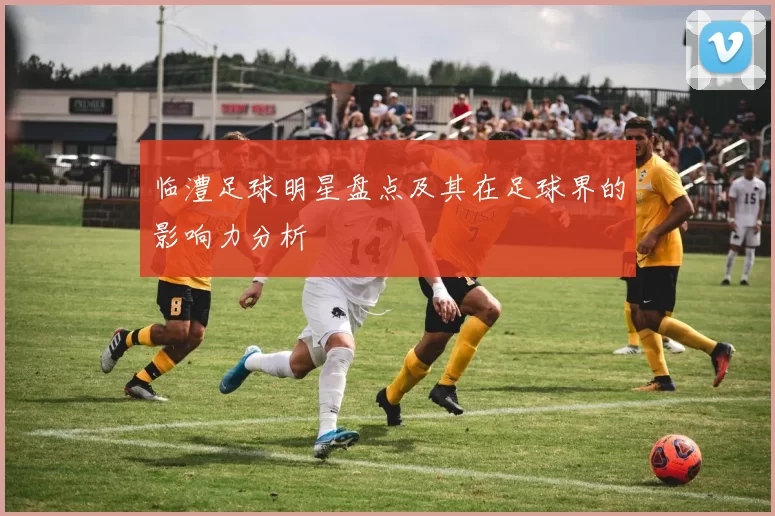 临澧足球明星盘点及其在足球界的影响力分析